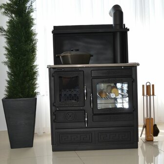 Houtfornuis globefire