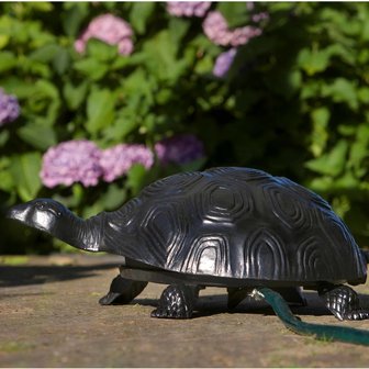 Schildpad gegoten met tuinslang